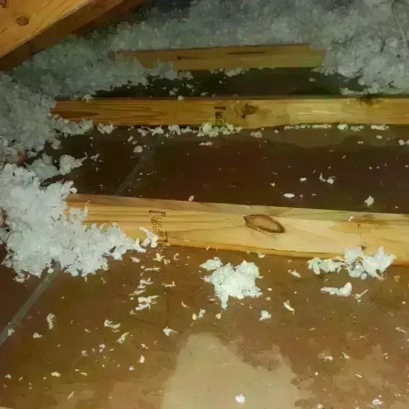 Attic Water Damage in Benwood, WV